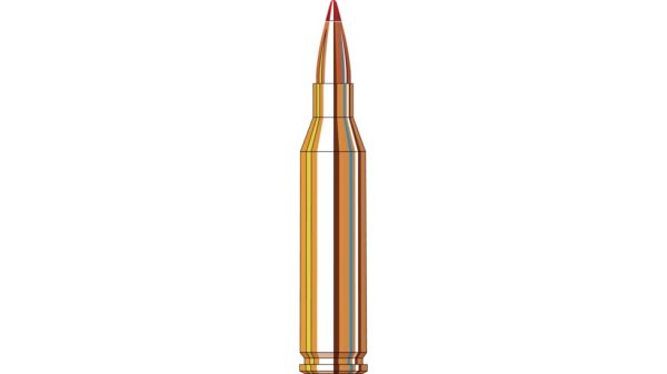 Hornady Custom .243 Winchester 87 Grain V-MAX Centerfire Rifle Ammunition 500 ROUNDS