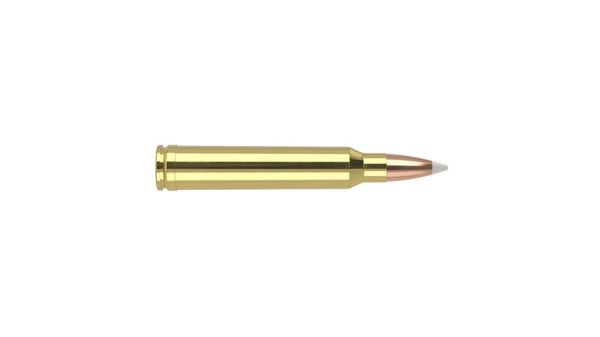 Nosler Trophy Grade .300 Winchester Magnum 180 Grain AccuBond Brass Cased Centerfire Rifle Ammunition 500 ROUNDS